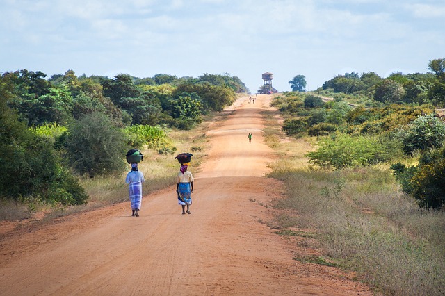 INPA Implementa Projectos para Promover Técnicas Agrícolas Sustentáveis em várias Regiões da Guiné-Bissau